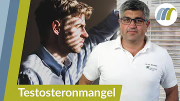 Wo im Körper wird Testosteron produziert?