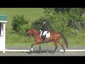 Anna loschiavo  fernhill that guy jack op dressage 1st place