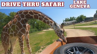 Drive Thru Safari Lake Geneva WI w/ Jeeps On The Run