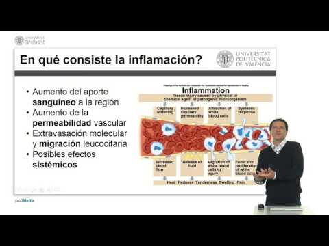 Vídeo: Regulación De La Permeabilidad Vascular Sanguínea En La Piel