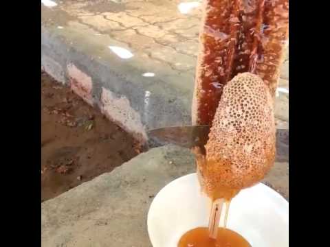 عسل نحل مصفى طبيعى نوع سدر