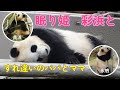 【彩浜、二代目眠り姫に、良浜と永明はすれ違い】