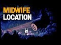 Hollow Knight- How to find Midwife and All NPC Dialogue