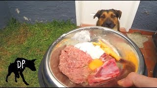 Homemade raw food diet for dogs