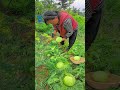 Documenting real life in rural areas