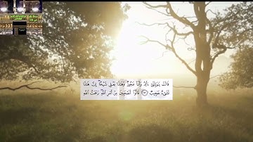 ماتيسر من سورة هود -مقام اللامي #تجويدعراقي 🇮🇶 بلاسم جليل