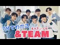 【ENG sub】＆TEAMが気になるあなたへ。【メンバー紹介】