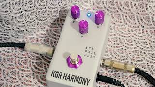 THE WALL FUZZ