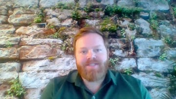 Executive Summary Video MS Assignment