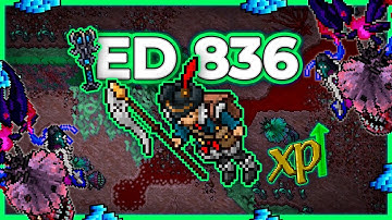 ED 836 Hunt x4 Furious Crater 8.9kk/h Raw (Courage Leech Boosted) - Tibia Hunt #tibia #tibiahunt