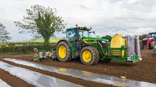 Samco Maize Drill | John Deere 6R155 | Planting Maize for the Dairy Cattle