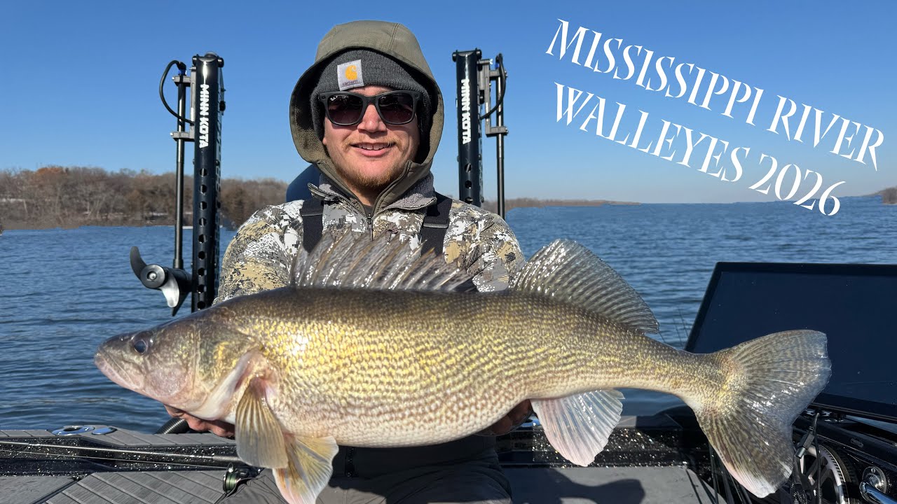 Crushing Spring River Walleyes In My New Boat! | Mississippi River 2026