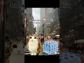 La Mejor Canción Para Vender Agua Agua Phonk Trending Cat Meowl Agua Phonk Funk Edit Memes