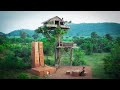 [ Video Full ] Building A Tree house 12m, Swimming Pool And Grape Wine