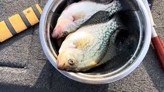 Crappie fishing Catch cook and eat 12-14-2023