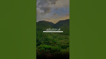 سورة الرعد | محمد صديق المنشاوي