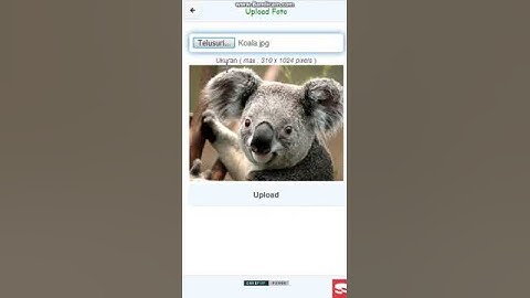 Help for Discourse Cake php Forum