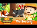 This ANIMAL smells like POPCORN?! 🍿 | Binturong | Leo the Wildlife Ranger | #compilation