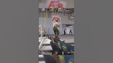 Just a few CS2 teamkills :) #csgo #gaming #counterstrike #funny #gamer #memes #cs2 #montage #