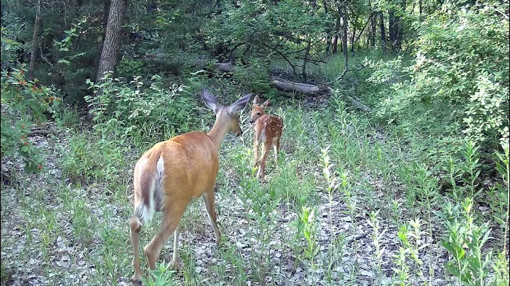 Mom and baby.