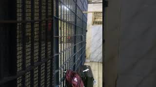 IDC Bangkok jail Torture Cell #bangkok #deporte #thailand #passportbros