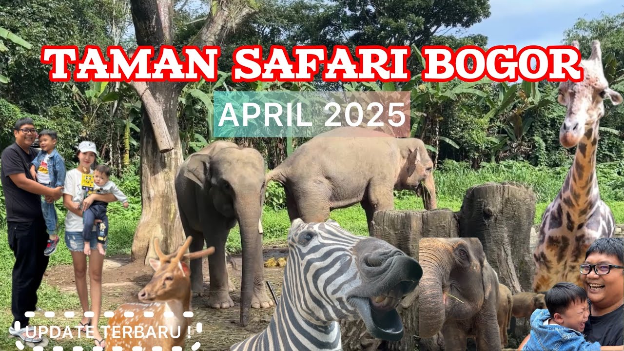 Liburan Keluarga ke Taman Safari Bogor #tamansafari #animalshow #tamansafariindonesia #satwa #animal