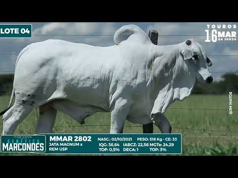 LOTE 04 MMAR 2802