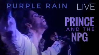 PRINCE & THE NPG - Purple Rain (Live in Tokyo) 1990