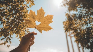 User Experience Design (BDes)