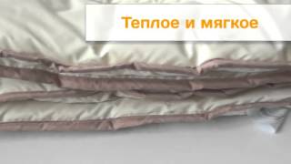 Одеяла и подушки SoundSleep, коллекция Soft Dreams(, 2015-10-13T07:45:11.000Z)
