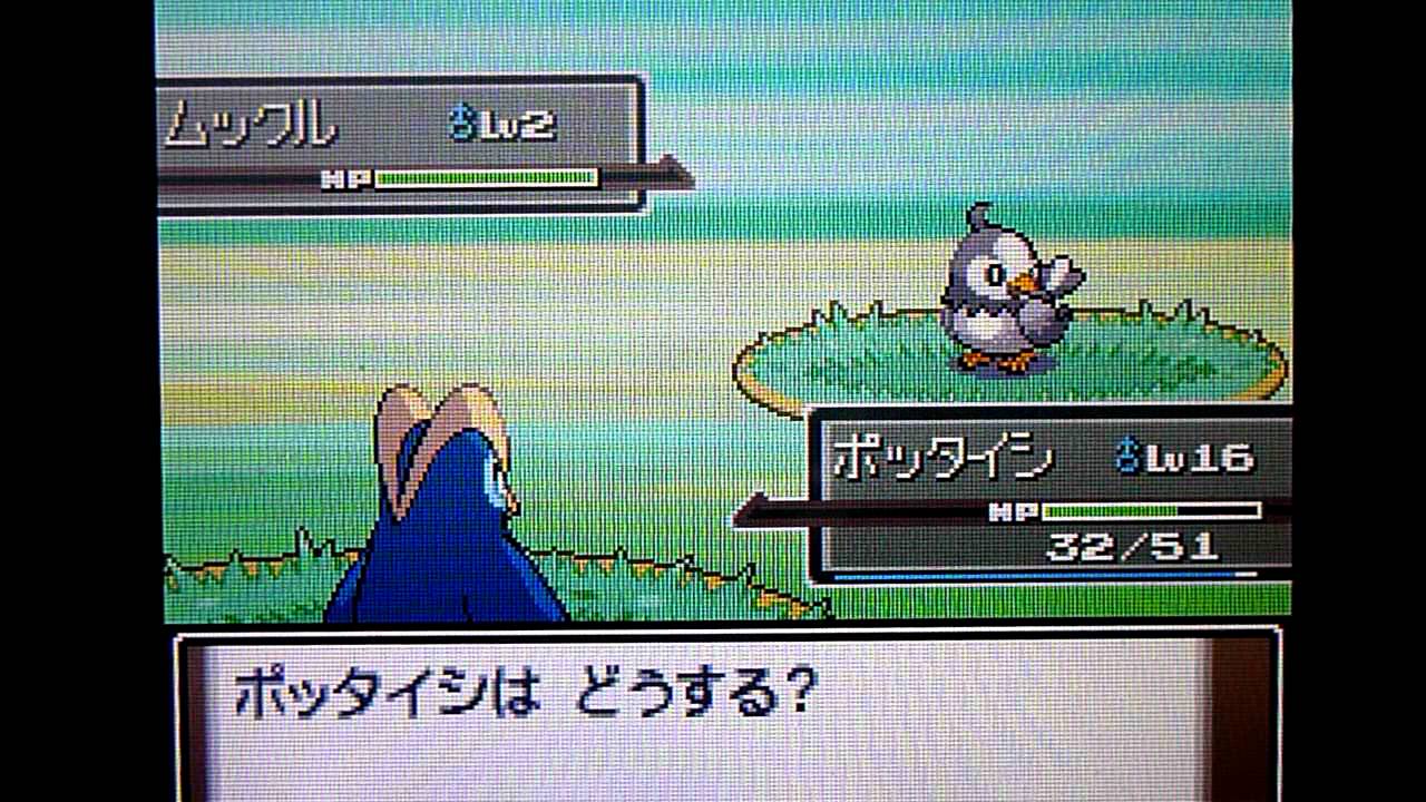 ポケモン プラチナ アルセウス バグ 最高のイラストと図面