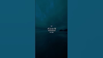 ﴿وَكَانَ اللَّهُ غَفُورًا رَّحِيمًا﴾ | تلاوة رقراقة تبعث الأمل #قرآن #توبة #أبي_إدريس