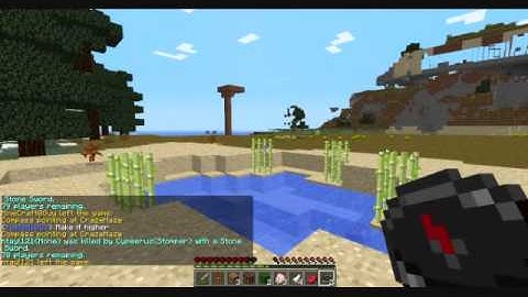 MCPvP Flash Mini-Kit Review/ Gameplay