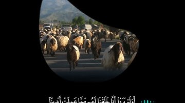 ما تيسر من سورة يس بصوت القارئ وليد الفلوجي