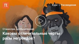 Негроиды - Станислав Дробышевский