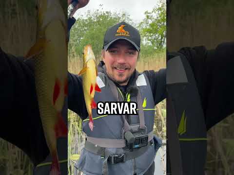 Vi bygger en