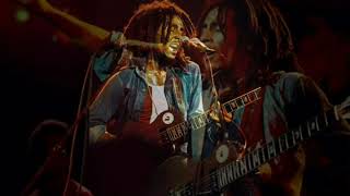 Marley Live! Deluxe 75 HD !!  Stir It Up!!