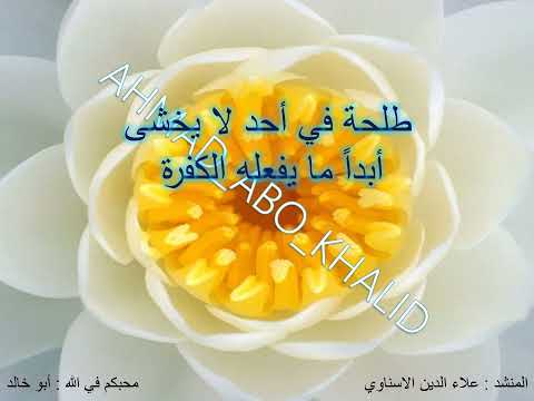 أنشودة العشرة المبشرين بالجنة علاء الدين الاسنوي