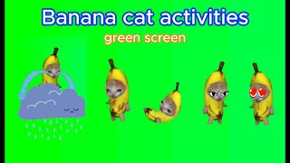 🙀😾 Banana cat activities green screen [ 100% free to use , no copyright ] #bananacat #greenscreen