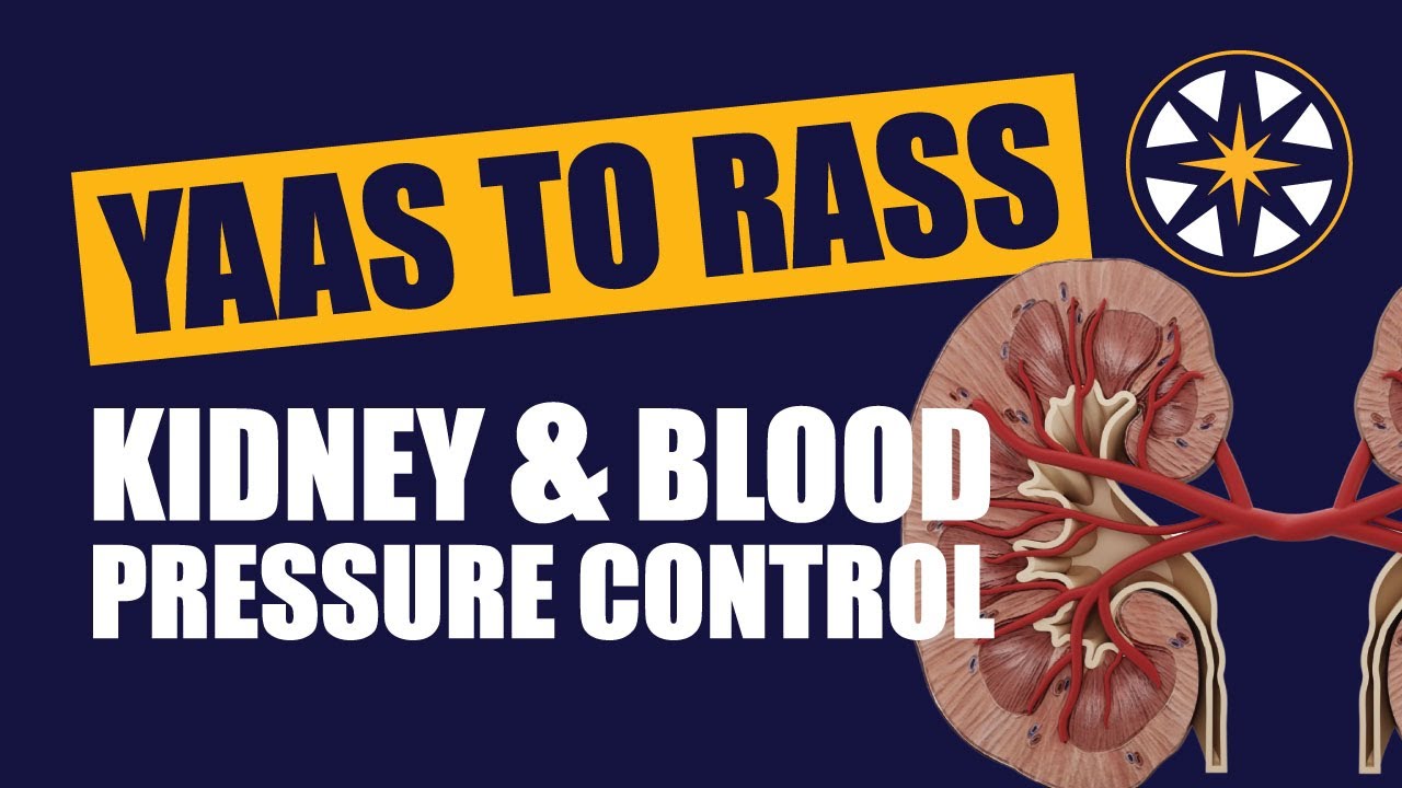 From Yaas to Raas Understanding the Kidney and Blood Pressure Control