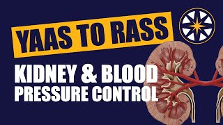 From Yaas to Raas: Understanding the Kidney and Blood Pressure Control by NorthStar VETS 108 views 10 months ago 42 minutes