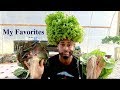 MY TOP 10 LEAFY VEGGIES TO GROW IN AQUAPONICS