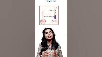 ഒരു Experiment കണ്ടാലോ ? | Annual Exam 2025 | Xylem Class 6