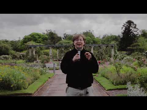 Conociendo el ROSEDAL DE MONTEVIDEO | Nuevo tiempo Uruguay