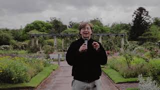 Conociendo El Rosedal De Montevideo Nuevo Tiempo Uruguay