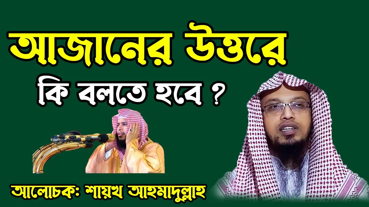 Sheikh sheikh