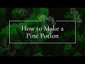 How to Make a Pine Potion