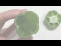 ピーマンの種の取り方~ヘタからVer~(Pick up green pepper seeds)