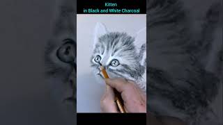 Black and White Charcoal Drawing, Cute Kitten #shorts