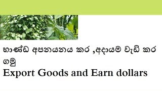How to export from srilanka-sinhala edition